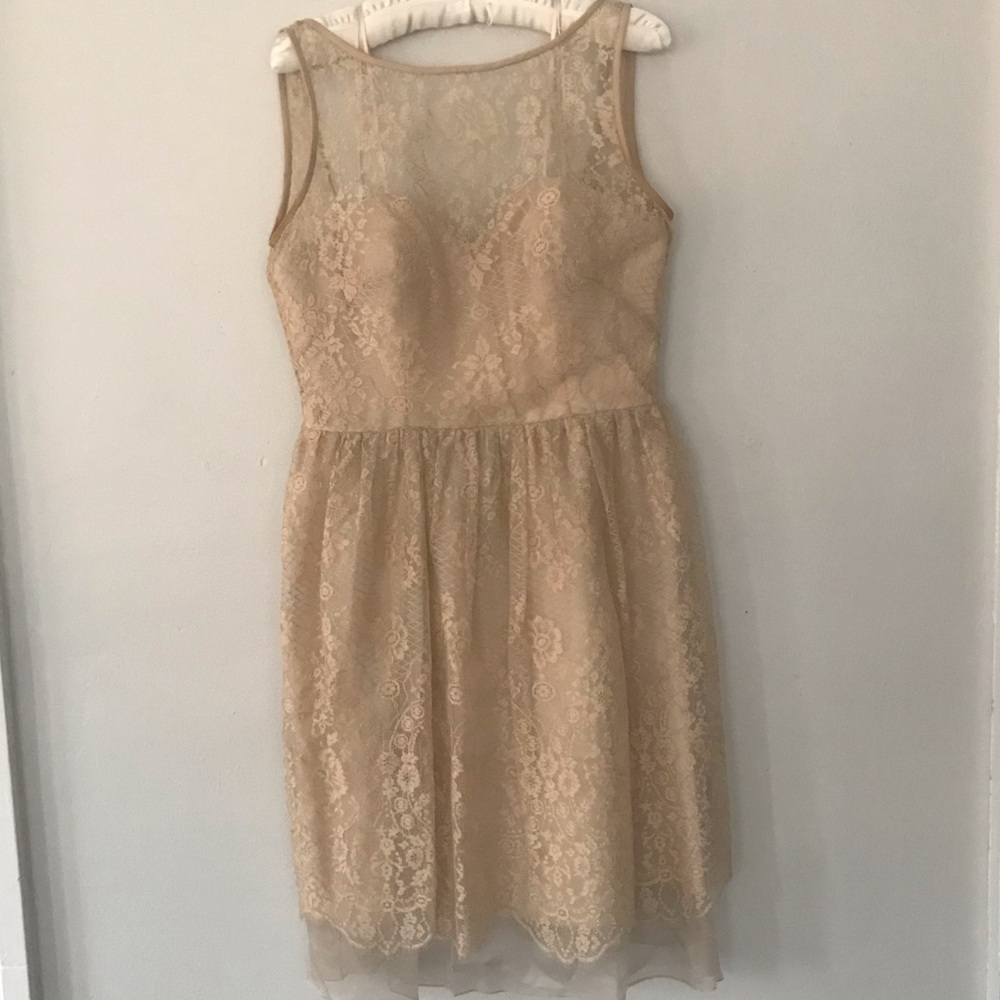Theia Champagne Lace Pleated Silk Combo Dress